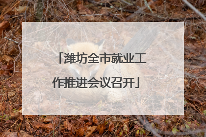 潍坊全市就业工作推进会议召开
