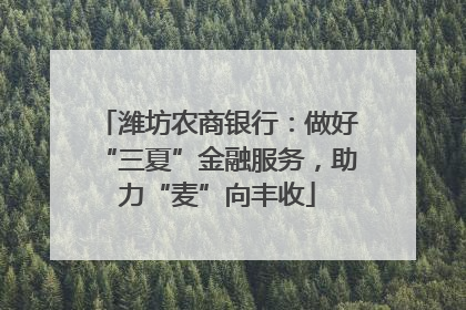 潍坊农商银行：做好“三夏”金融服务，助力“麦”向丰收