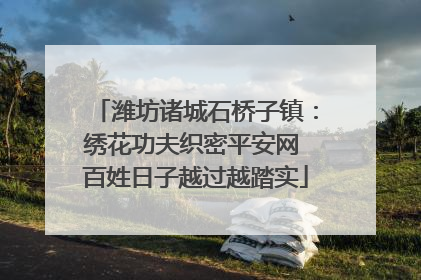潍坊诸城石桥子镇：绣花功夫织密平安网 百姓日子越过越踏实