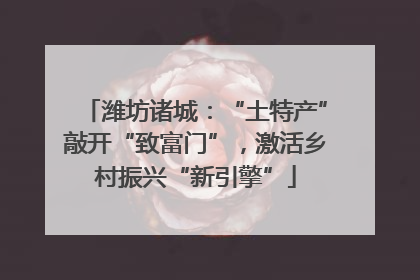 潍坊诸城：“土特产”敲开“致富门”，激活乡村振兴“新引擎”