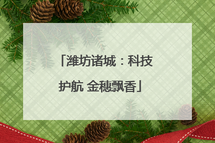 潍坊诸城：科技护航 金穗飘香