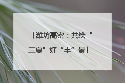 潍坊高密：共绘“三夏”好“丰”景