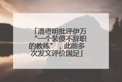 潘粤明批评伊万“一个装傻不辞职的教练”，此前多次发文评价国足