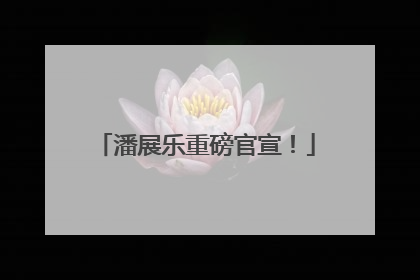 潘展乐重磅官宣！