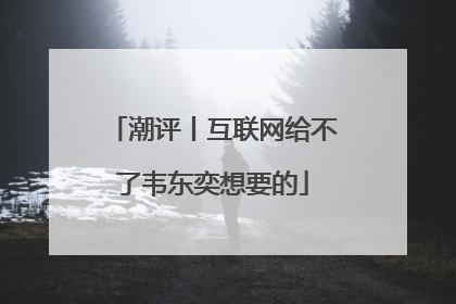 潮评丨互联网给不了韦东奕想要的