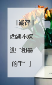 潮评丨西湖不欢迎“粗暴的手”