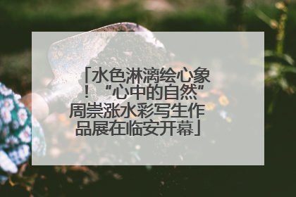 水色淋漓绘心象！“心中的自然”周崇涨水彩写生作品展在临安开幕