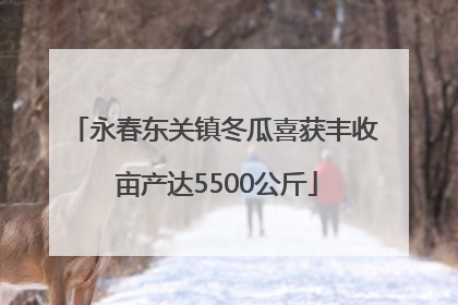 永春东关镇冬瓜喜获丰收 亩产达5500公斤
