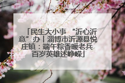 民生大小事 “沂心沂意”办丨淄博市沂源县悦庄镇：端午粽香暖老兵 百岁英雄述峥嵘