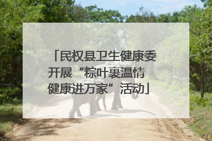 民权县卫生健康委开展“粽叶裹温情 健康进万家”活动