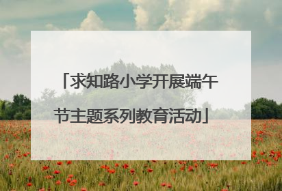 求知路小学开展端午节主题系列教育活动