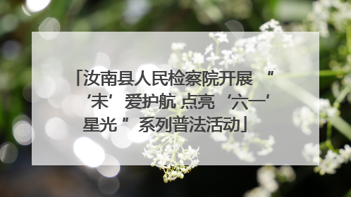 汝南县人民检察院开展 “‘未’爱护航 点亮‘六一’星光 ”系列普法活动
