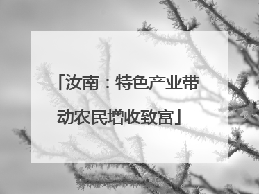 汝南：特色产业带动农民增收致富