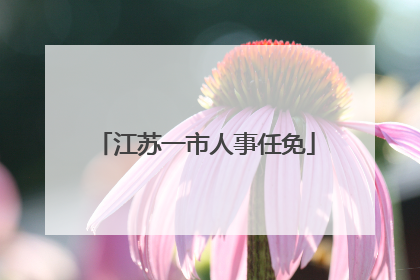 江苏一市人事任免