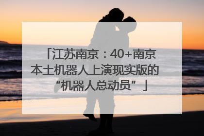 江苏南京：40+南京本土机器人上演现实版的“机器人总动员”