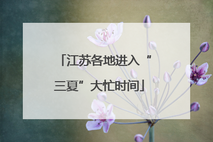 江苏各地进入“三夏”大忙时间