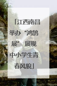 江西南昌举办“鸿鹄展” 展现中小学生青春风貌