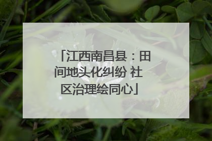 江西南昌县：田间地头化纠纷 社区治理绘同心