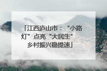 江西庐山市：“小路灯”点亮“大民生” 乡村振兴稳提速