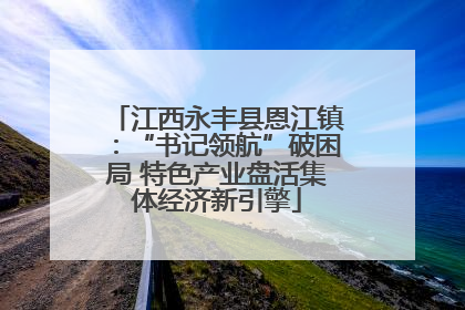 江西永丰县恩江镇：“书记领航”破困局 特色产业盘活集体经济新引擎
