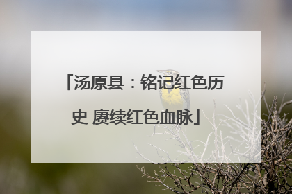 汤原县：铭记红色历史 赓续红色血脉