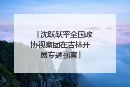 沈跃跃率全国政协视察团在吉林开展专题视察