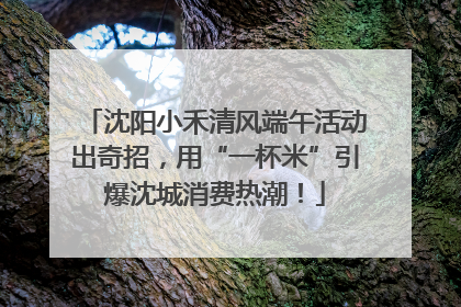 沈阳小禾清风端午活动出奇招，用“一杯米”引爆沈城消费热潮！