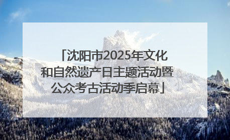 沈阳市2025年文化和自然遗产日主题活动暨公众考古活动季启幕