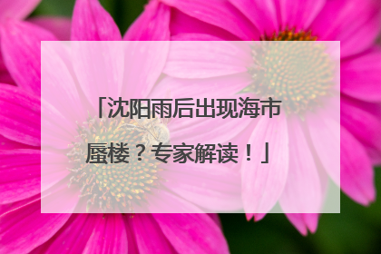 沈阳雨后出现海市蜃楼？专家解读！