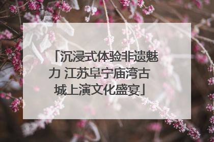 沉浸式体验非遗魅力 江苏阜宁庙湾古城上演文化盛宴