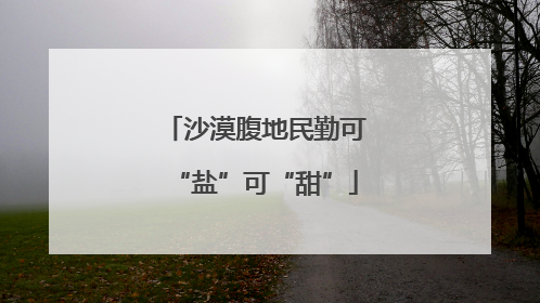 沙漠腹地民勤可“盐”可“甜”