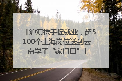 沪滇携手促就业，超5100个上海岗位送到云南学子“家门口”