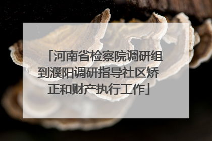 河南省检察院调研组到濮阳调研指导社区矫正和财产执行工作