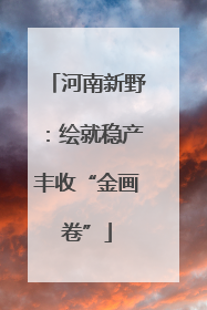 河南新野：绘就稳产丰收“金画卷”