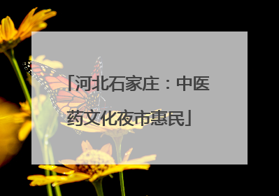 河北石家庄：中医药文化夜市惠民
