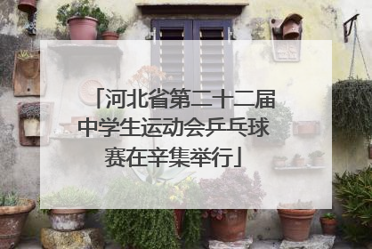 河北省第二十二届中学生运动会乒乓球赛在辛集举行