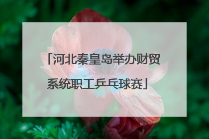 河北秦皇岛举办财贸系统职工乒乓球赛