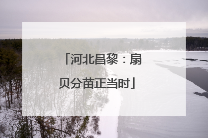 河北昌黎：扇贝分苗正当时