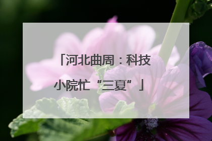 河北曲周：科技小院忙“三夏”