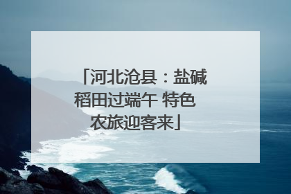 河北沧县：盐碱稻田过端午 特色农旅迎客来