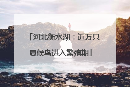 河北衡水湖：近万只夏候鸟进入繁殖期