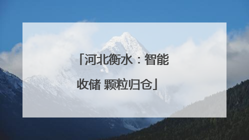 河北衡水：智能收储 颗粒归仓