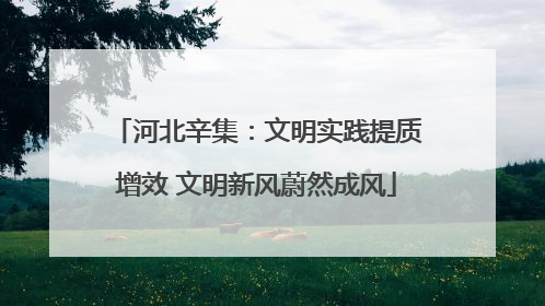 河北辛集：文明实践提质增效 文明新风蔚然成风
