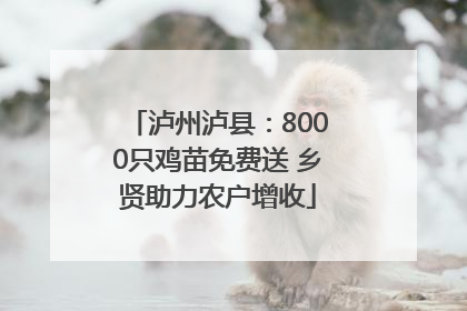 泸州泸县：8000只鸡苗免费送 乡贤助力农户增收