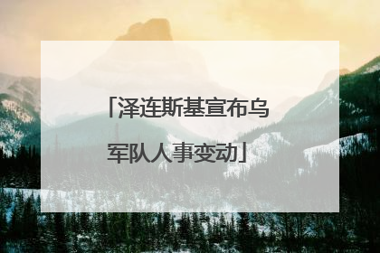 泽连斯基宣布乌军队人事变动