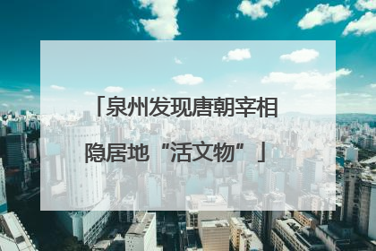 泉州发现唐朝宰相隐居地“活文物”