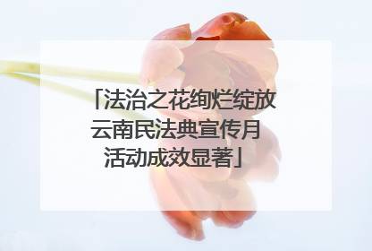 法治之花绚烂绽放 云南民法典宣传月活动成效显著