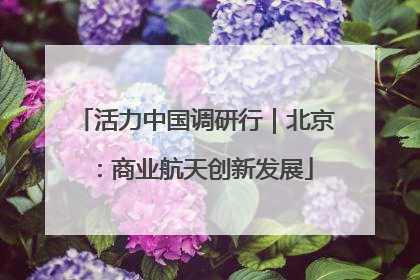 活力中国调研行｜北京：商业航天创新发展