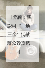 洛南：黑彰村“一地三金”铺就群众致富路
