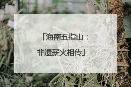 海南五指山：非遗薪火相传